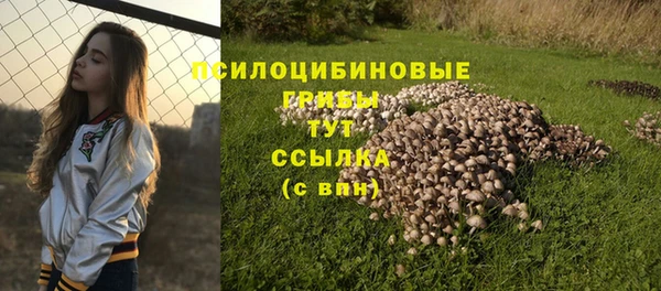 дмт Лысьва