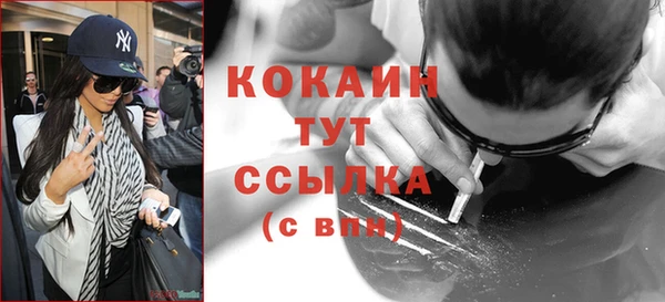 стаф Горняк