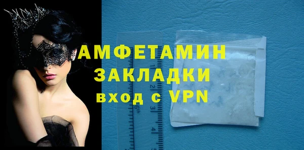 стаф Горняк