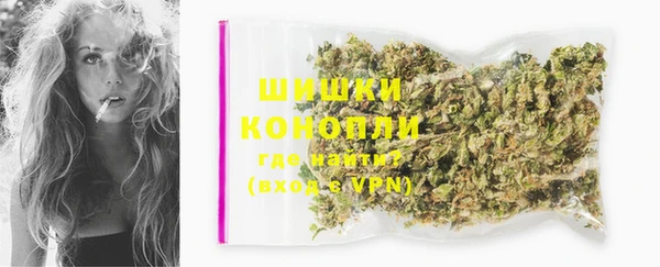 стаф Горняк