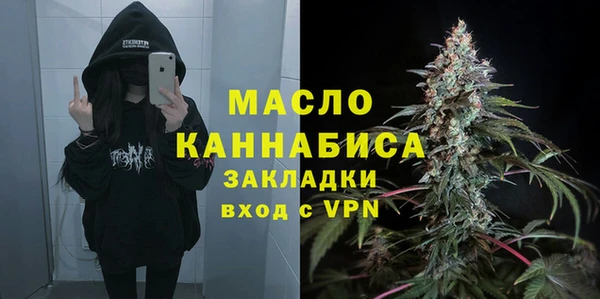 стаф Горняк