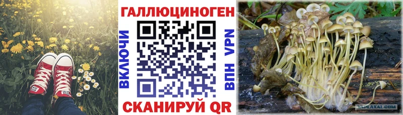 Галлюциногенные грибы GOLDEN TEACHER  Купить закладки  Алексеевка 