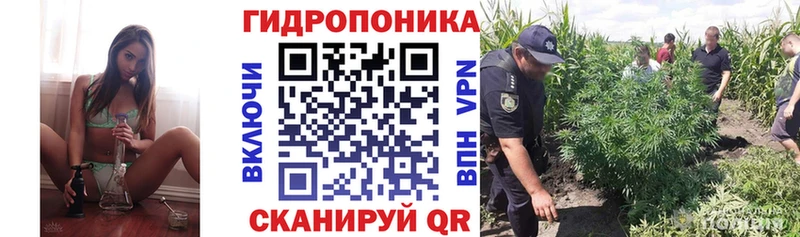 Купить  Алексеевка  Шишки марихуана семена 